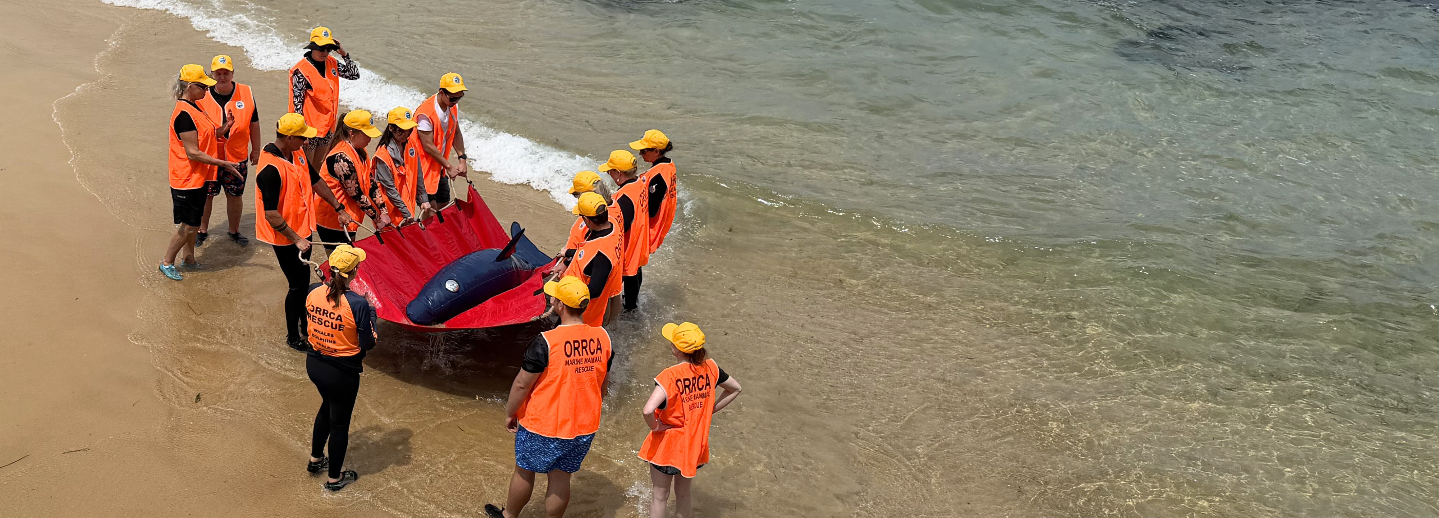 Rescue Ready: ORRCA’s 2026/27 Training Dates Now Live